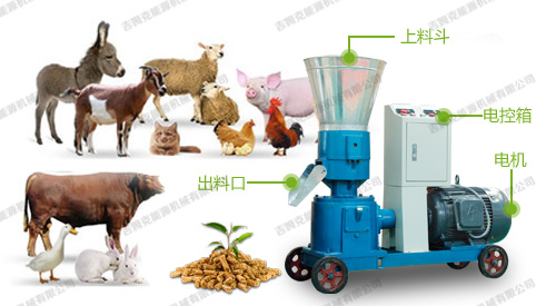 小型養殖專(zhuān)用飼料顆粒機
