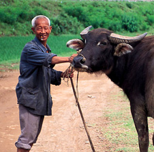 小型飼料顆粒機,農民圓夢(mèng)！