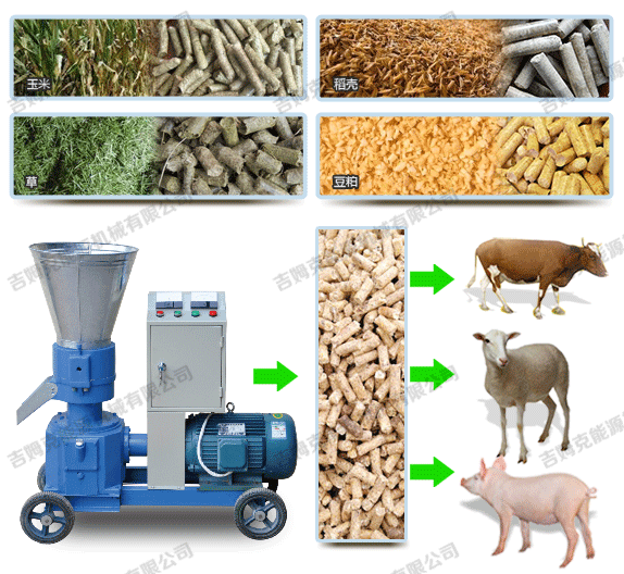秸稈顆粒機壓制牛羊豬飼料顆粒過(guò)程