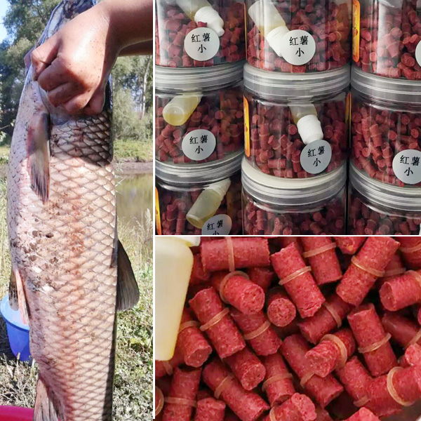 使用吉姆克魚(yú)飼料顆粒機壓制出來(lái)的魚(yú)飼料顆粒圖片