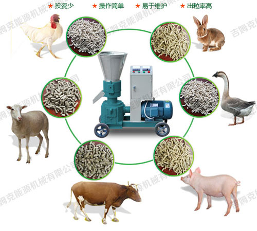 小型飼料顆粒機可壓制各種動(dòng)物顆粒飼料 屬多功能飼料顆粒機